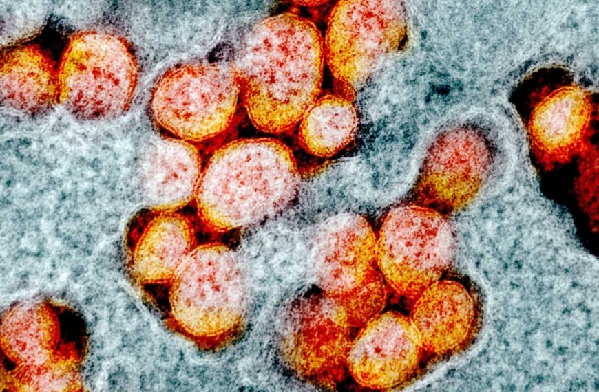 Κοινά και διαφορές του κοροναϊού με τους ιούς SARS, Mers