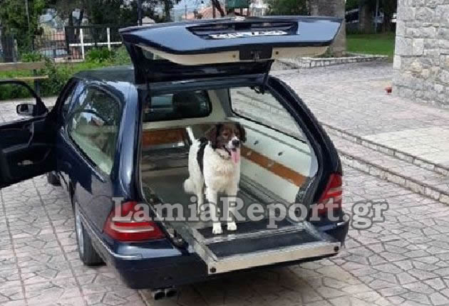 Φθιώτιδα: Ραγίζει καρδιές ο σκύλος στην κηδεία του αφεντικού του (video)