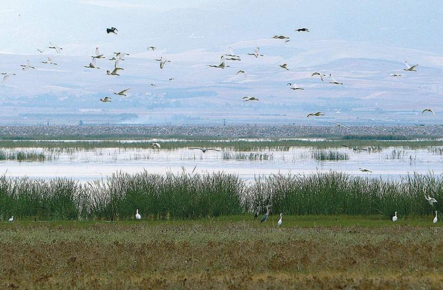 Περιβαλλοντικό ν/σ: Σφοδρή πολιτική σύγκρουση- Απόσυρση ζητά ο ΣΥΡΙΖΑ, τι απαντά ο&hellip;