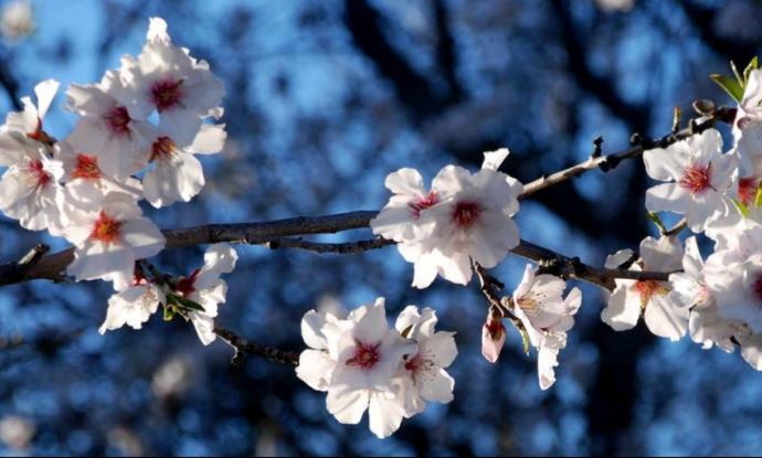 Καιρός: Βελτίωση τη Μεγάλη Πέμπτη – Σημαντική άνοδος της θερμοκρασίας από τη Μεγάλη Παρασκευή