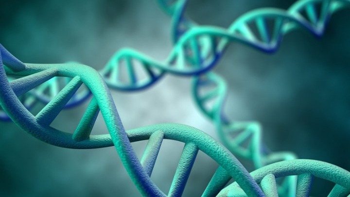 Καθηγητής Γενετικής: Το DNA του ασθενούς συνδέεται με τον Covid 19- Τον Ιούλιο θα…