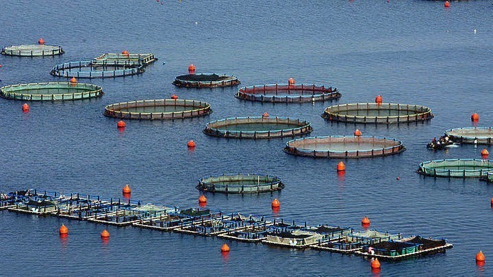 Πρωτοποριακό σύστημα υδατοκαλλιέργειας από το ΕΜΠ