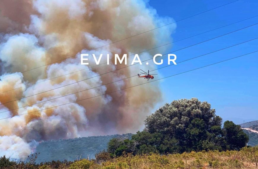 Εύβοια: Ανεξέλεγκτη η φωτιά στους Ραπταίους – Επιχειρούν και εναέρια μέσα