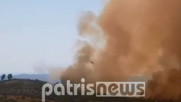 Μάχη με τις φλόγες στην Ηλεία: Ενισχύονται οι δυνάμεις