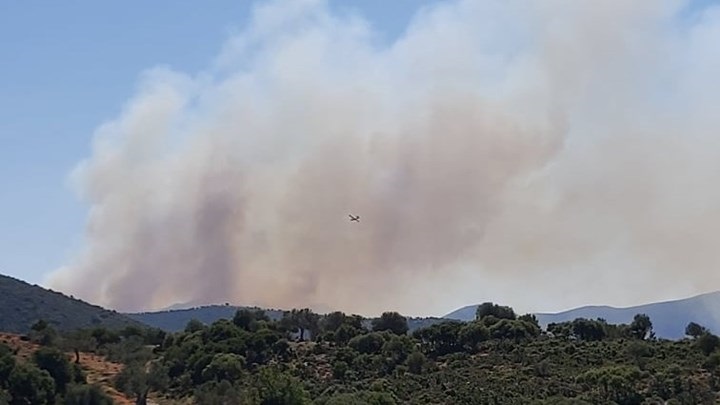 Πυρκαγιά σε δασική έκταση στην Επίδαυρο