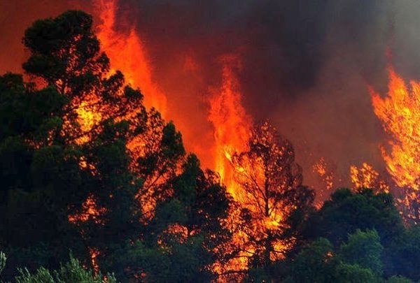 Μαίνεται η φωτιά στο δάσος Δαδιάς