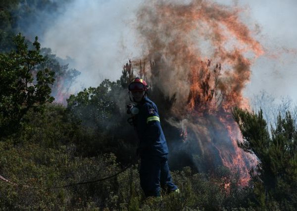 Φωτιά στη Σταμάτα Αττικής- Δήμαρχος Διονύσου: Είναι ανεξέλεγκτη η κατάσταση&hellip;