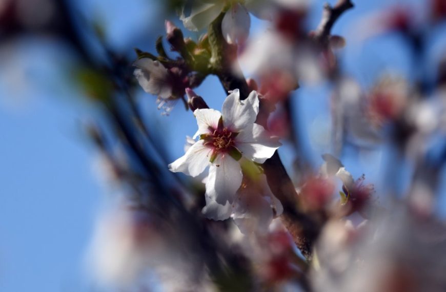 Καιρός: Ανοιξιάτικη Τσικνοπέμπτη – Ήλιος και υψηλές θερμοκρασίες