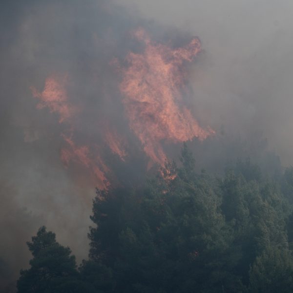 Θεσσαλονίκη: Φωτιά στο δάσος του Σέιχ Σου – Εκκένωση ξενοδοχείου