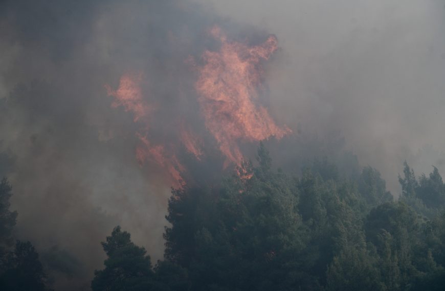 Θεσσαλονίκη: Φωτιά στο δάσος του Σέιχ Σου – Εκκένωση ξενοδοχείου