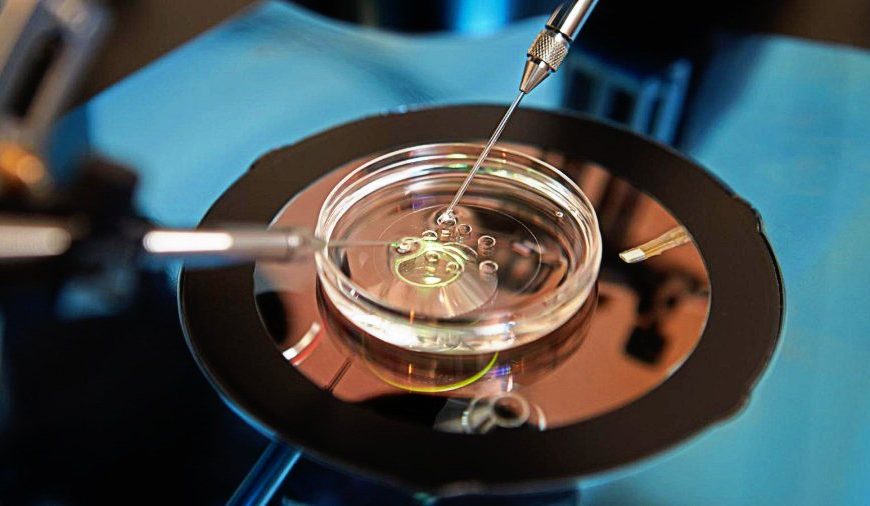 Μαύρη αγορά ωαρίων: Η σκοτεινή πλευρά της γονιμότητας