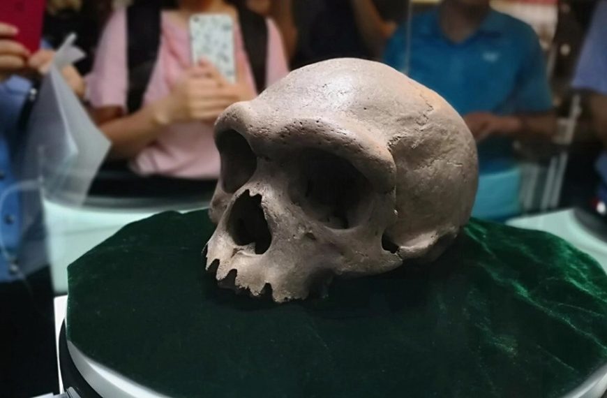 Το αρχαίο κρανίο που μπορεί να ξαναγράψει την ιστορία