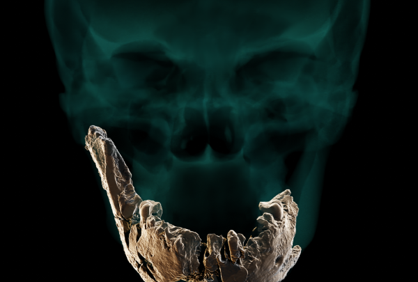 Ισραήλ: Ανακαλύφθηκε νέο είδος ανθρώπου, ο Nesher Ramla Homo