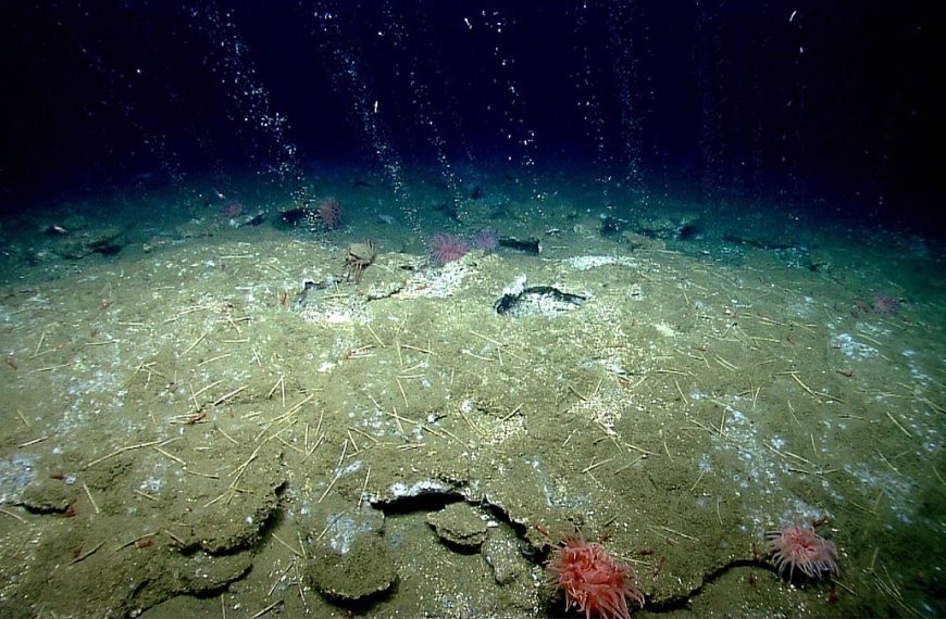 Στο 20% η χαρτογράφηση του πυθμένα των ωκεανών της Γης