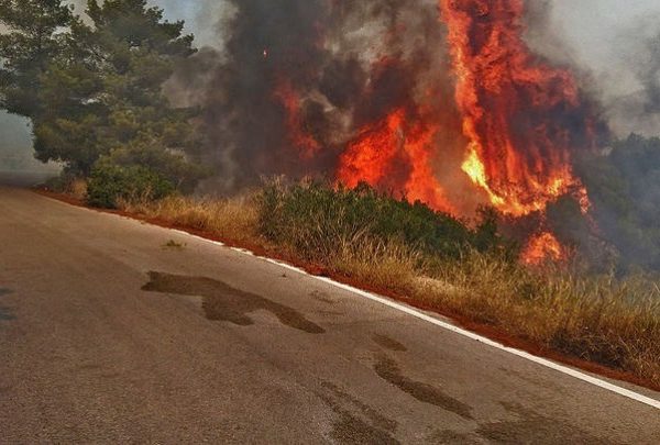 Φωτιά στην Κερατέα: Εκκενώνεται το Μαρκάτι