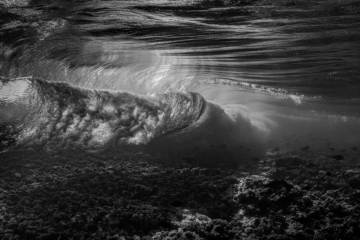 Οξύθυμη παλίρροια