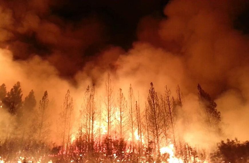 Καιγόμαστε υποδειγματικά και “πλήρως προετοιμασμένοι”!