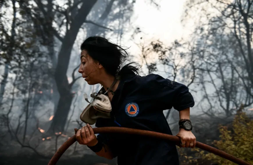 Γιώργος Πλειός/ Η ανατομία μιας μέγα-πυρκαγιάς: πύρινος ή νεοσυντηρητικός όλεθρος;