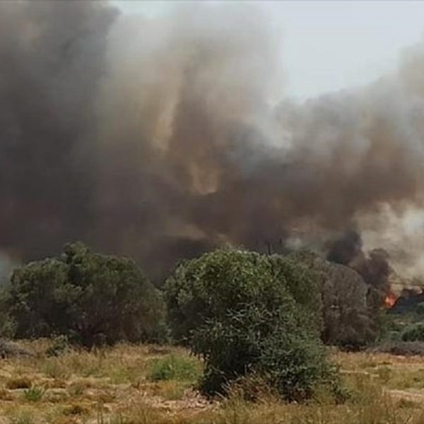 Νίκος Χριστοδουλίδης: Η Κύπρος αναλαμβάνει την αναδάσωση στη Ρόδο