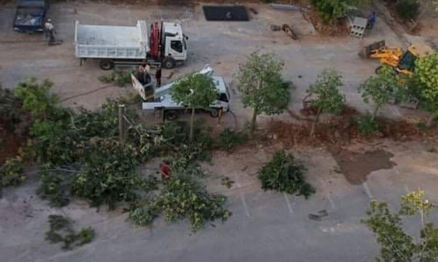 Η Δικαιοσύνη αποφασίζει για τις σχολικές αίθουσες-κλουβιά του&hellip;