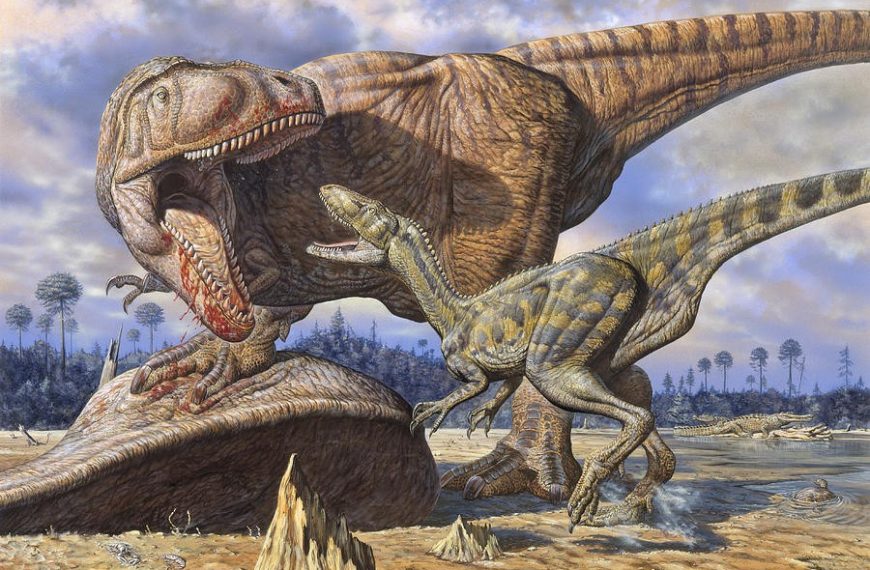 Ξεχάστε τον T-Rex, αυτή η σαύρα ήταν δύο φορές μεγαλύτερη και πέντε&hellip;