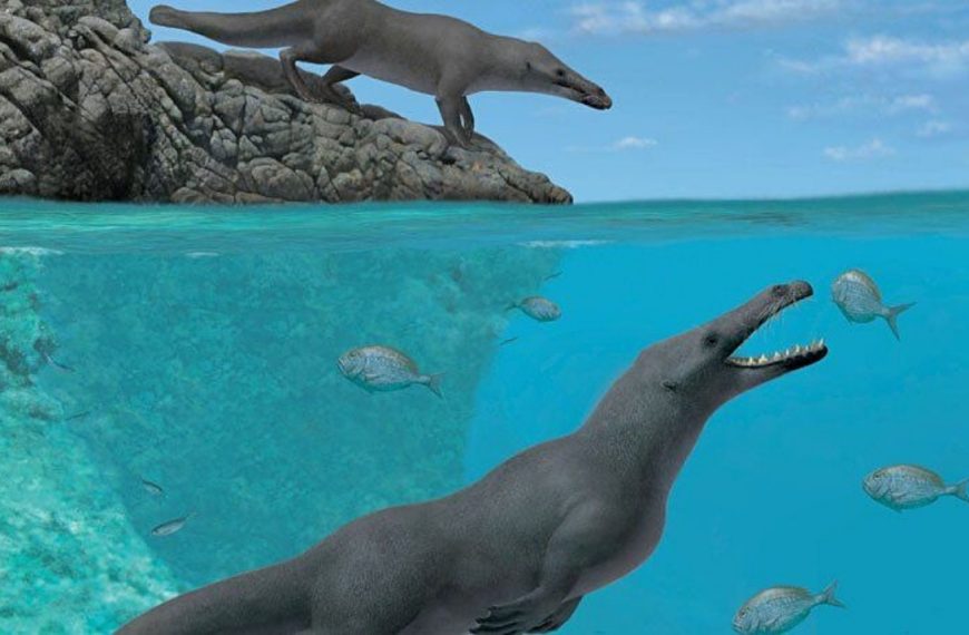 Όταν οι φάλαινες περπατούσαν