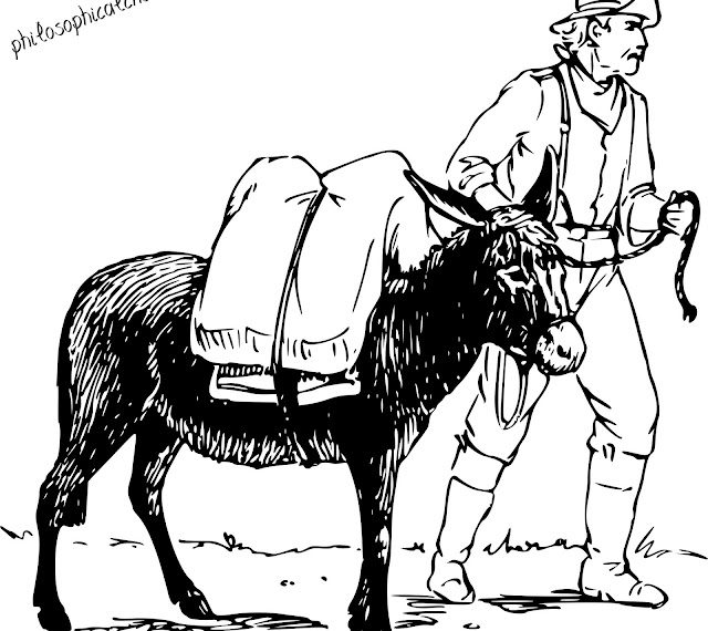 Περί όνου σκιάς…Καραμανλής