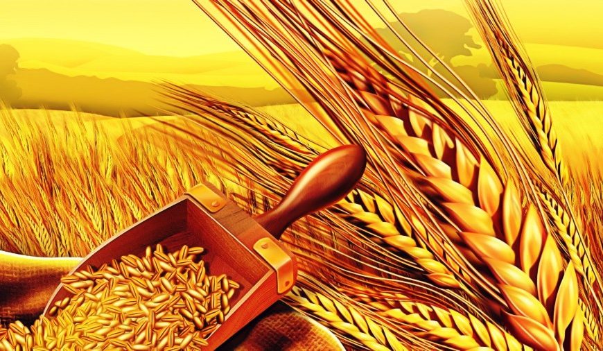 Η επερχόμενη επισιτιστική κρίση και εμείς