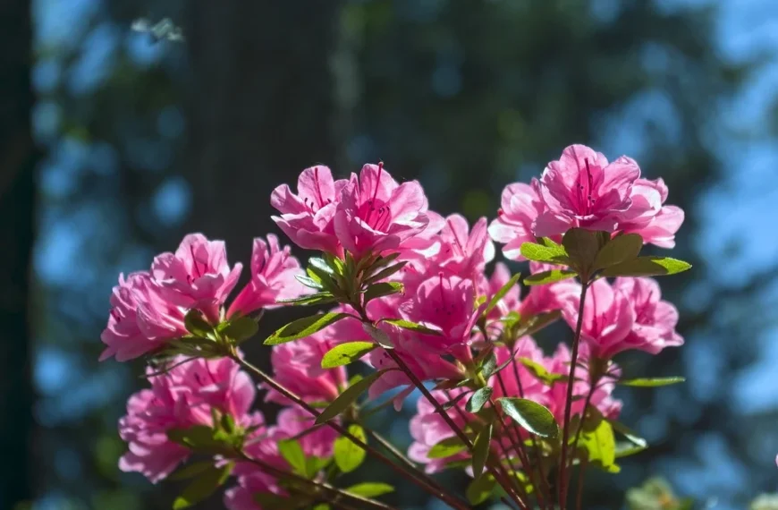 Μιά μέρα μετα
