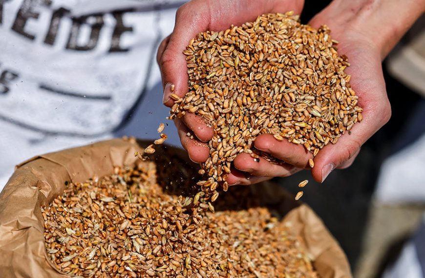 Ουκρανία: Η παραγωγή σιταριού 2022-23 αναμένεται να μειωθεί κατά 40%