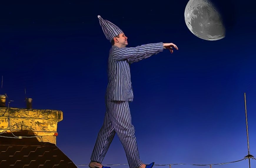 Ο Ευρωπαίος υπνοβάτης