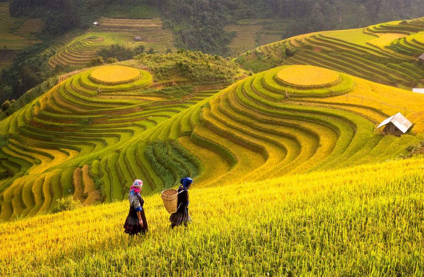 Όλα όσα θα ήθελες να ξέρεις για το Βιετνάμ και ντρέπεσαι να&hellip;