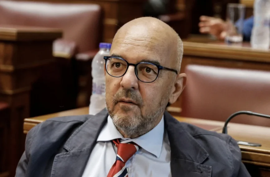 Μπάμπης Παπαδημητρίου: Ναι στην ισχυρή δημόσια ΔΕΗ, όχι σε μια κρατική καταβόθρα