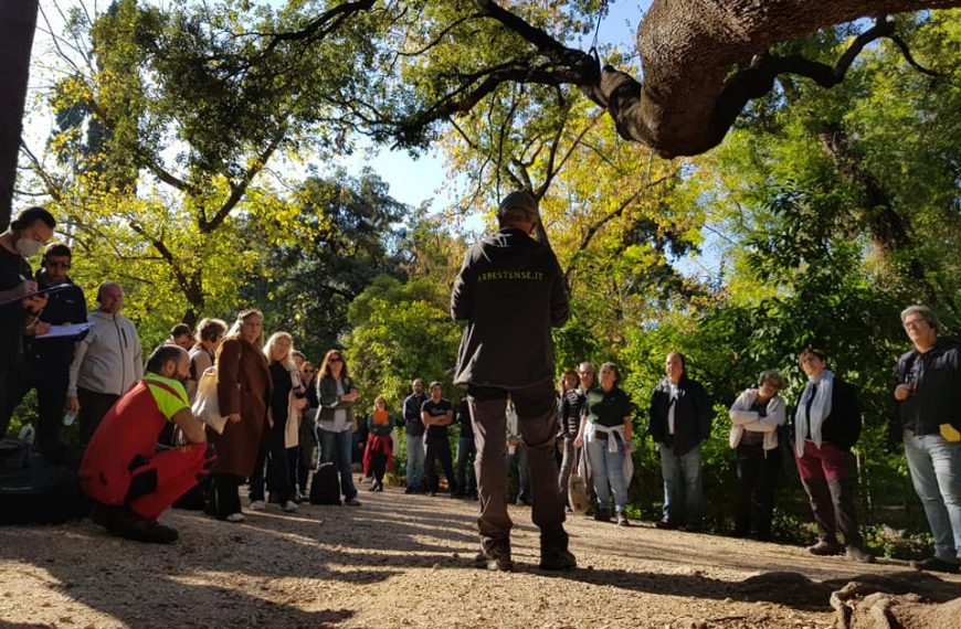 Ελένη Νατιώτη – Παναγιώτης Σκοτειδάκης / Αστικά δέντρα: Αλλαγή οπτικής