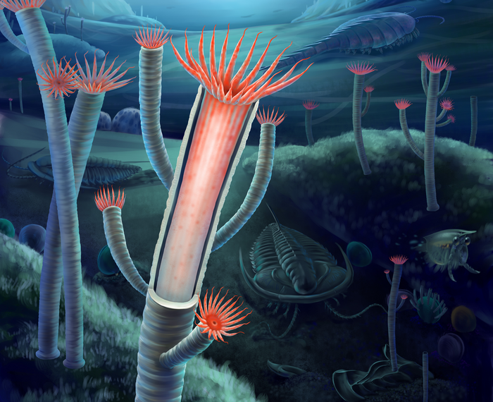 Αυτό είναι το πρώτο πλάσμα με σκελετό