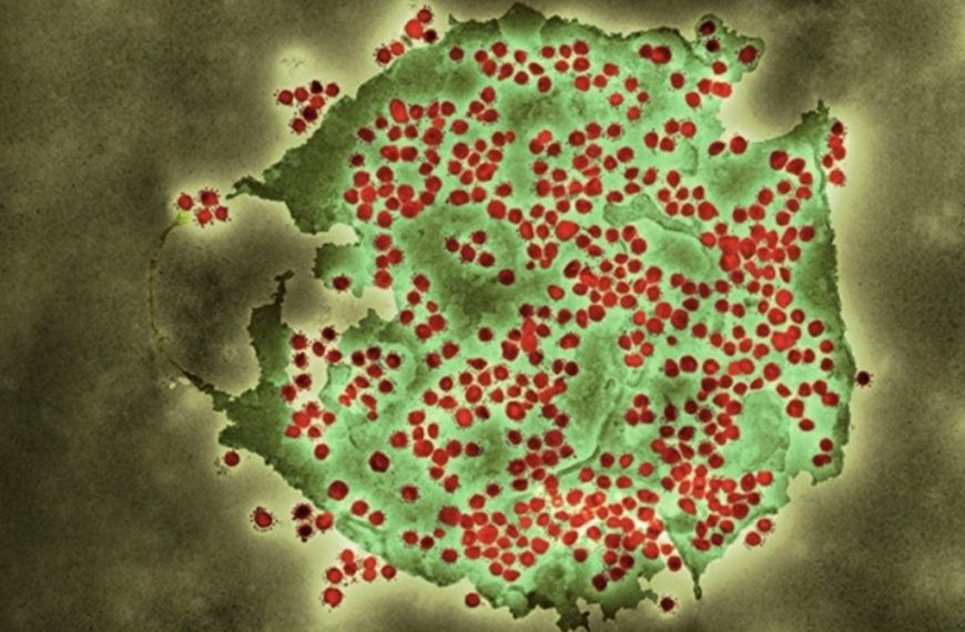 Όρθρος: Νέο στέλεχος του κοροναϊού εξαπλώνεται στην Ευρώπη