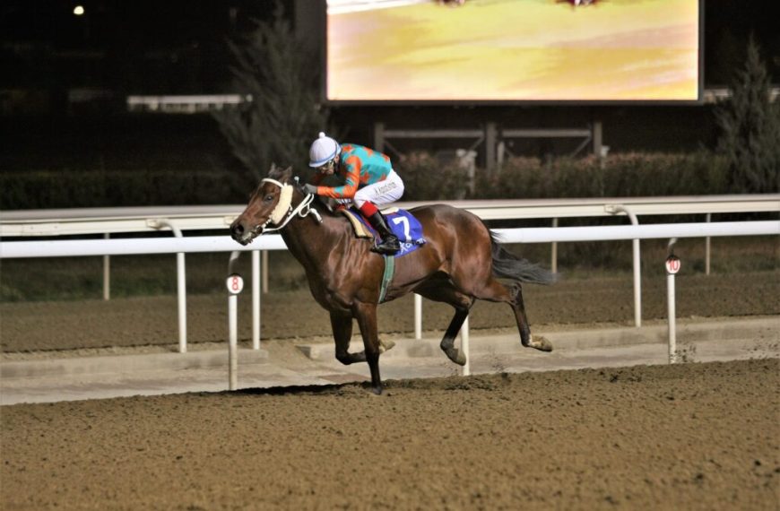 ΟΠΑΠ: Επτά δυνατές κούρσες και τρία ΣΚΟΡ την Τρίτη στο Markopoulo Park