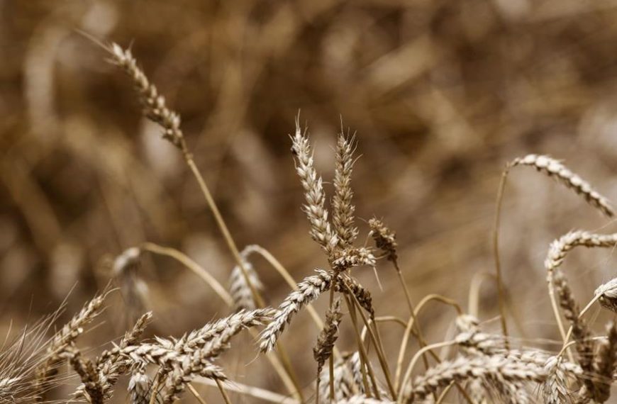 Ευάγγελος Βενέτης / Συνέχεια της παγκόσμιας διατροφικής κρίσης στο Ουκρανικό
