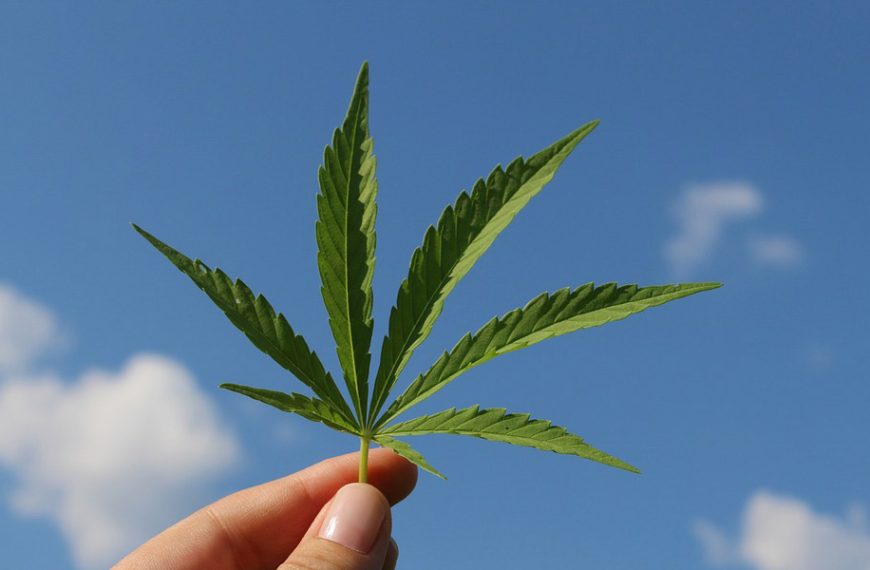 Γερμανία: Νομοσχέδιο υπέρ της ιδιωτικής χρήσης κάνναβης