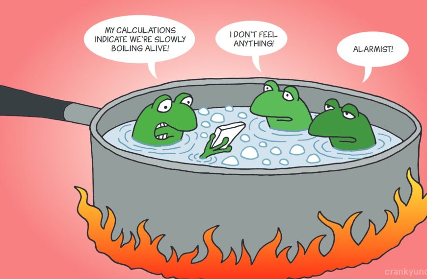 Γιάννης Τσιπουρίδης / Comfortably Numb