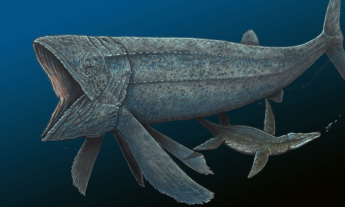 Λιντσίχθυς: Το μυστήριο πίσω από το μεγαλύτερο ψάρι που είδε ποτέ ο πλανήτης