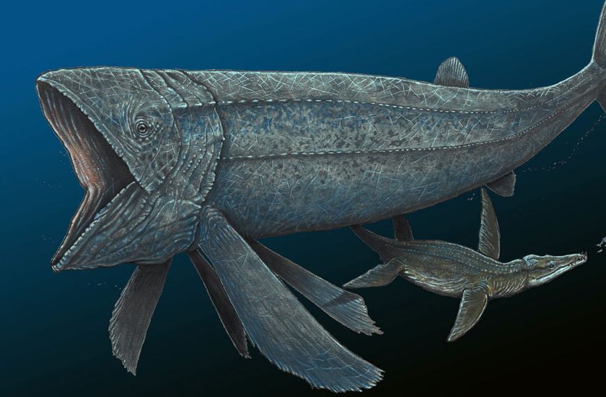 Λιντσίχθυς: Το μυστήριο πίσω από το μεγαλύτερο ψάρι που είδε ποτέ ο&hellip;