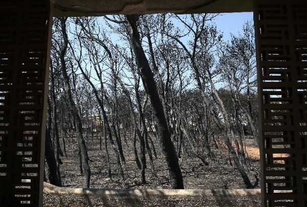 Δίκη Μάτι: “Η φωτιά δεν ήταν συνηθισμένη ούτε στη θερμοκρασία,&hellip;