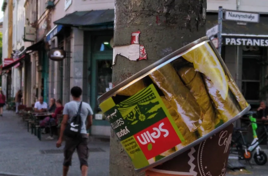 Βερολίνο, Αθήνα και μικρή Κωνσταντινούπολη: Οι ελληνικές και τουρκικές εκλογές στις «κάλπες»&hellip;