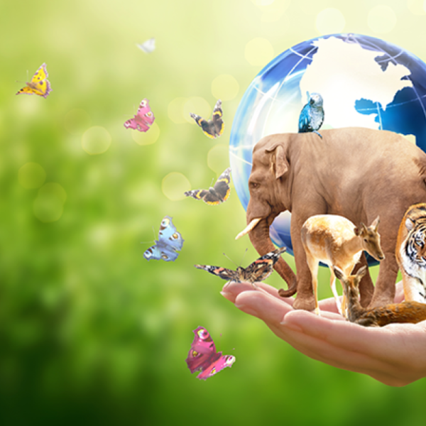 Ξενοφών Ι. Κοντιάδης / Από το «εγωιστικό» στο οικοκεντρικό Σύνταγμα