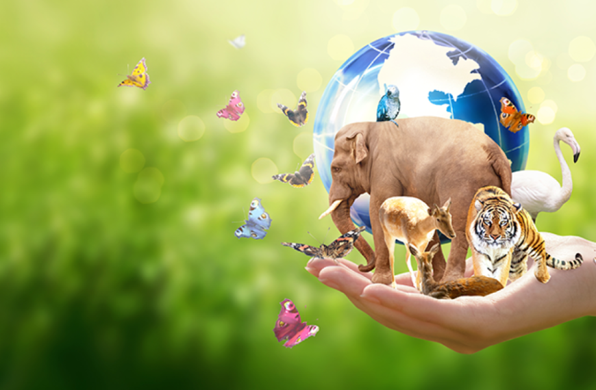 Ξενοφών Ι. Κοντιάδης / Από το «εγωιστικό» στο οικοκεντρικό Σύνταγμα