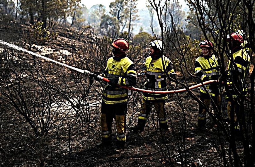 Ένα διαρκές έγκλημα: Η κατάργηση της δασοπυρόσβεσης από τη Δασική Υπηρεσία