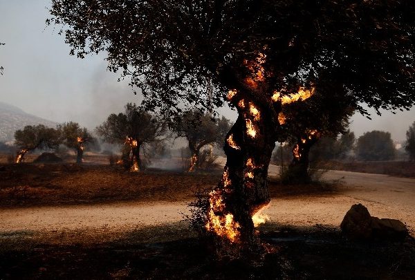 Κλιματική κρίση στην Ελλάδα: «Η Μεσόγειος καίγεται – Ζούμε τη&hellip;