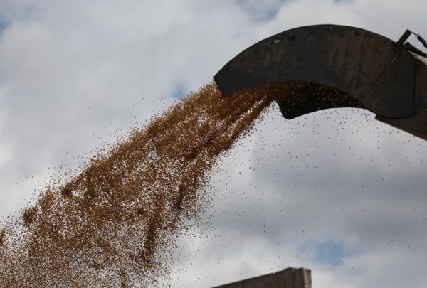 Αβεβαιότητα σε Ρωσία και Ουκρανία όσον αφορά τη συμφωνία για τα σιτηρά