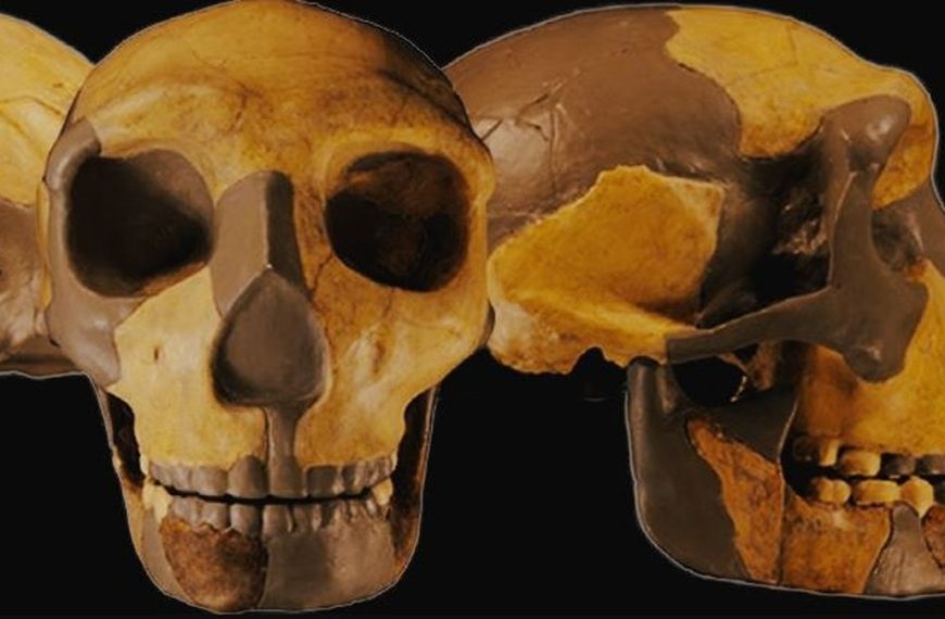 Άγνωστο ανθρώπινο είδος ανακαλύφθηκε στη Κίνα
